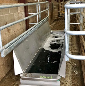 Hoofcount Footbath